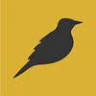 Meadowlark Psychiatric Services