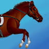 Meadows of Mendon Stables, LLC
