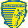 Mecklenburger Stiere Handball