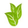 Medway Homeopath