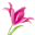 Melo Flores