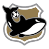 Escola De Futebol Meninos da Vila - Santos FC - Jd Saúde