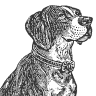Mercearia do Cão