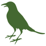 Merlo d'Oro