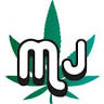 Mery Joint CBD Shop Cavarzere