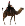 merzouga journeys
