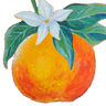 Mesa Produce
