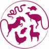 Metazoa