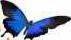 Metamorphosis Boat Charters