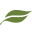 Woodman Fen