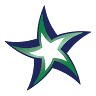 Metro Stars Gymnastics