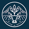 Meysut