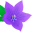 Bell Flower Nursery