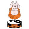 Miami Acupuntura 1