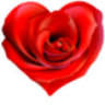 Mi amor