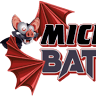 Michigan's Bat Expert
