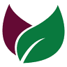 Co-X Green Works Microgreens / Co-X 菜苗