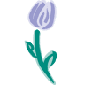 Middleton Dental Care