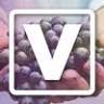 New Life Vineyard Church