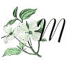 Midwest Cremation and Funeral Services, LLC