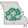 Midwest Neurosurgeons, LLC