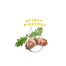 Labo sajūtu studija 