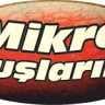Mikro Kuşlarım