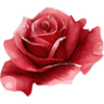 Miles Flowers