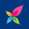 Millenium Papers Pvt Ltd