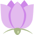 Millennium Blossoms
