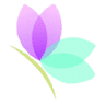 Millennium Med Spa & Center for Medical Weight Loss