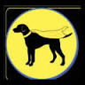 Miller's Comics, Cards, Collectables and Toys