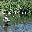 Minho Fly Fishing