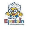 MINI EINSTEIN