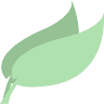 Mint Boutique