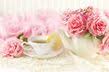 Miss Ashley's Tearoom Cafe and Catering
