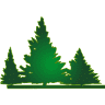 Misty Run Tree Farm