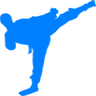 Mount Juliet Taekwondo inc