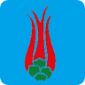 Sami Yildiz Tourism