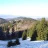 Mestské Lesy Banská Štiavnica, spol. S R.o.