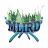 MLIRD