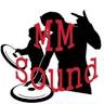 MM-Sound Austria Eventtechnik
