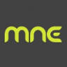 MNE Accounting