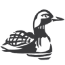 Minnesota Lakes Insurance