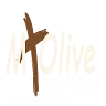 Mt Olive Baptist Church