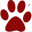 Dr Jo Squire Mobile Vet Cairns
