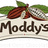Modern Stores / Moddy's Chocolates