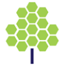 Modern Accountancy Ltd