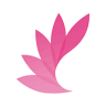 Modern Thai Spa (Massage spa Richardson/Plano/Garland Location)