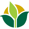 Modra Seeds
